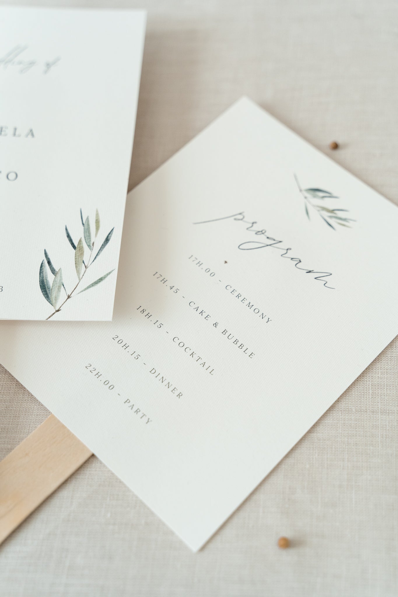 Olive fan and program