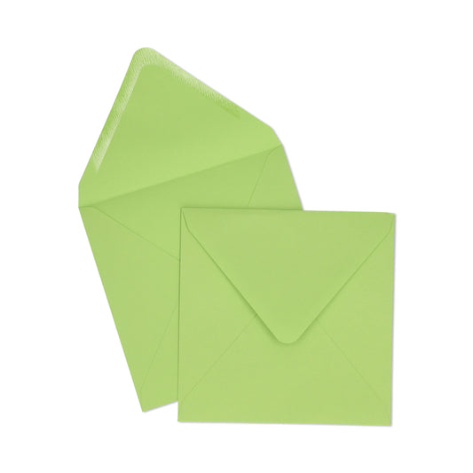 Green CD Envelope - 10 units